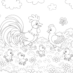 Rooster and chicken coloring