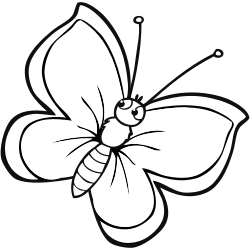 Butterfly coloring pages