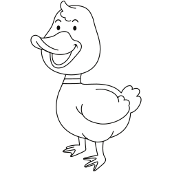 Duck standing