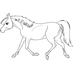 Running horse coloring