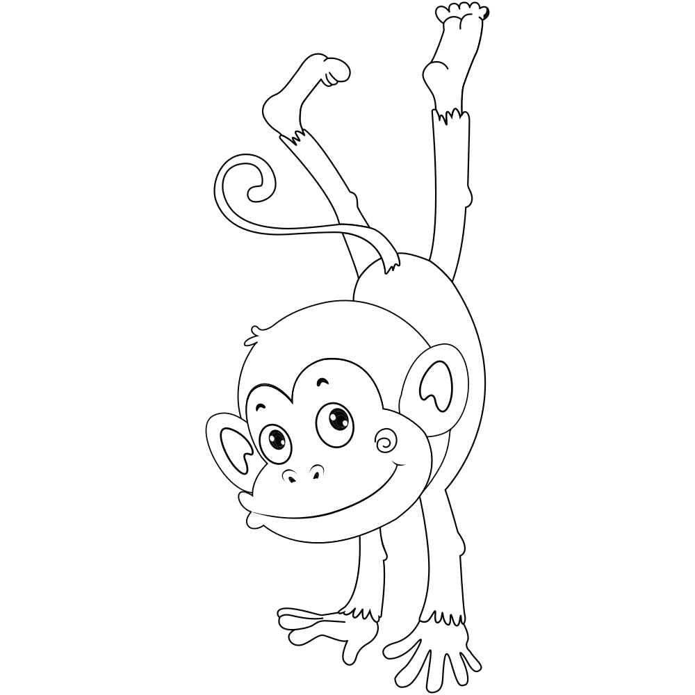 Monkey Coloring Pages Printable Kids Drawing Hub