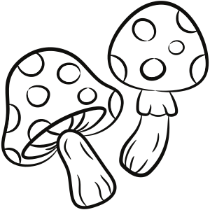 Fungi friends