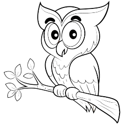 Baby owl coloring