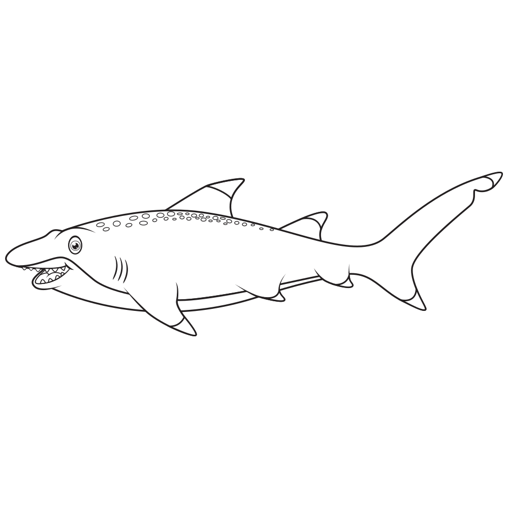 Shark Coloring Pages - Printable - Free - Kids Drawing Hub