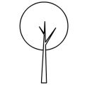 arbre