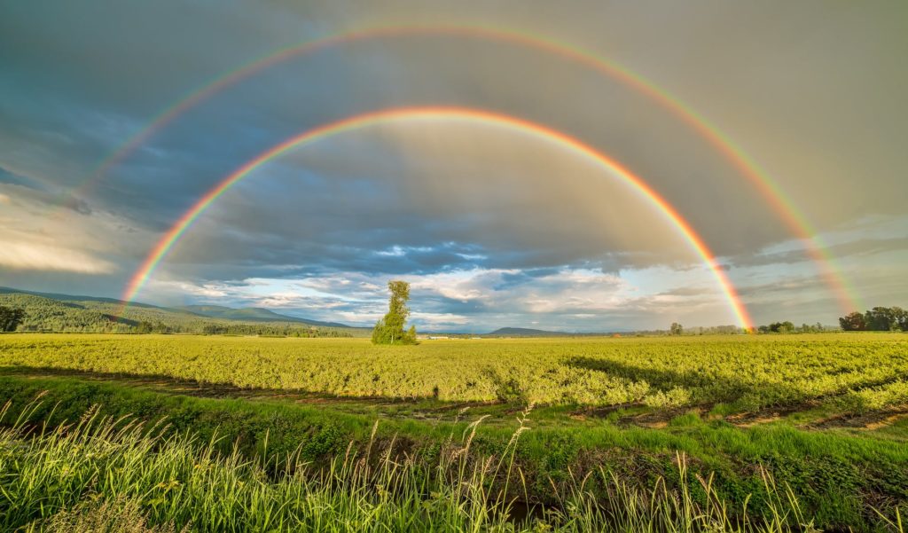 Erntefeld unter Regenbogen und bewölktem Himmel am Tag