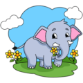 Elephant coloring pages